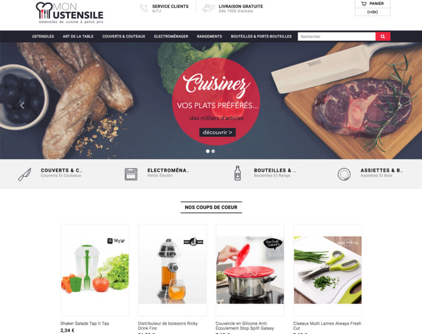Vente site e commerce dropshipping cuisine